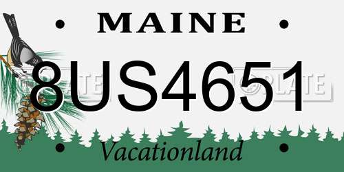 8US4651 Maine License Plate