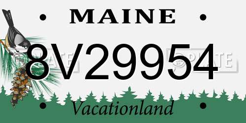 8V29954 Maine License Plate