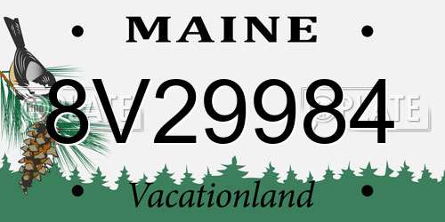8V29984 Maine License Plate