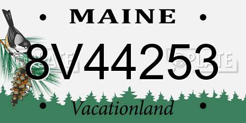 8V44253 Maine License Plate