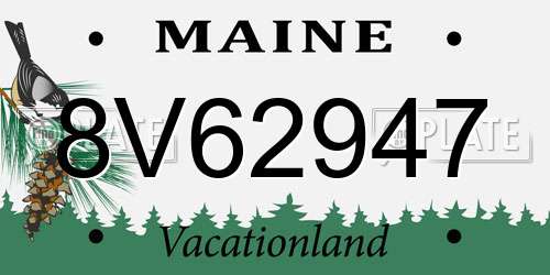 8V62947 Maine License Plate