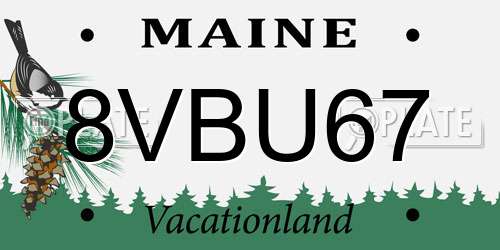 8VBU67 Maine License Plate