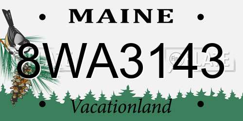 8WA3143 Maine License Plate