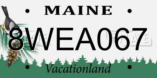 8WEA067 Maine License Plate