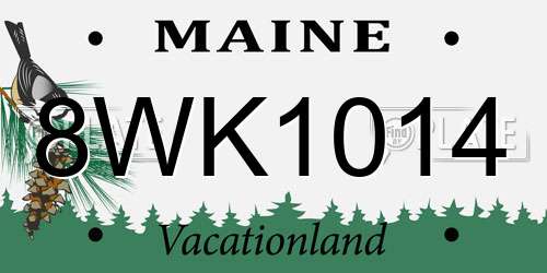 8WK1014 Maine License Plate