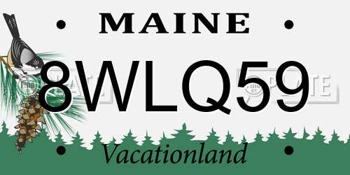 8WLQ59 Maine License Plate