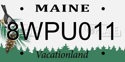 8WPU011 Maine License Plate