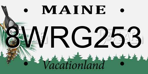 8WRG253 Maine License Plate