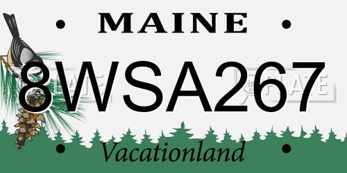 8WSA267 Maine License Plate