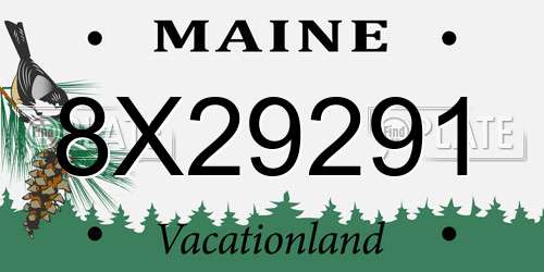 8X29291 Maine License Plate