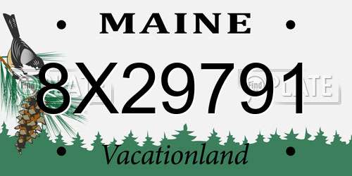 8X29791 Maine License Plate