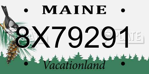 8X79291 Maine License Plate
