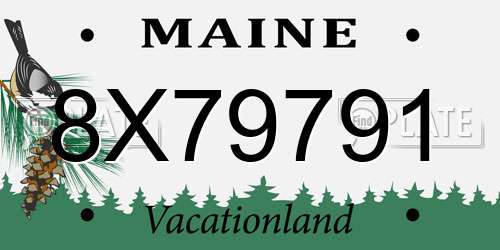8X79791 Maine License Plate