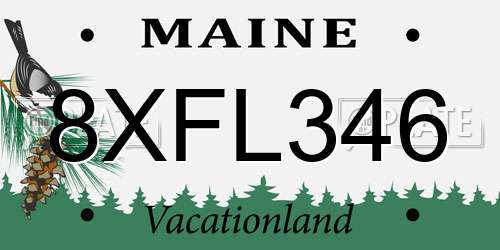 8XFL346 Maine License Plate