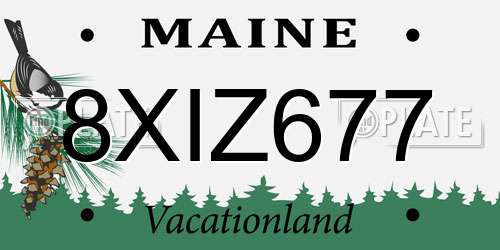 8XIZ677 Maine License Plate