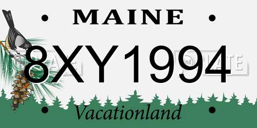 8XY1994 Maine License Plate