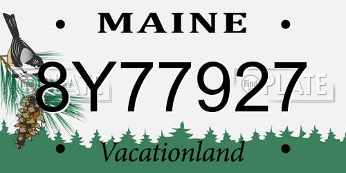 8Y77927 Maine License Plate