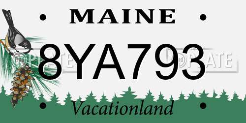 8YA793 Maine License Plate