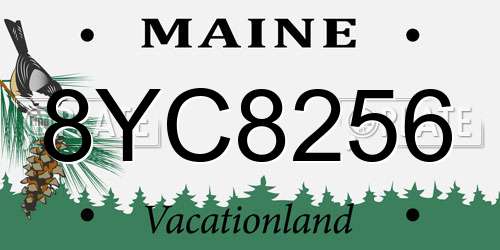 8YC8256 Maine License Plate