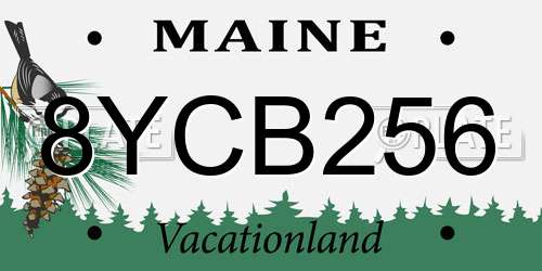 8YCB256 Maine License Plate