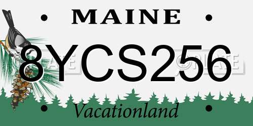 8YCS256 Maine License Plate