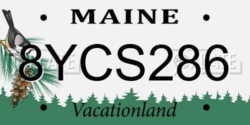 8YCS286 Maine License Plate