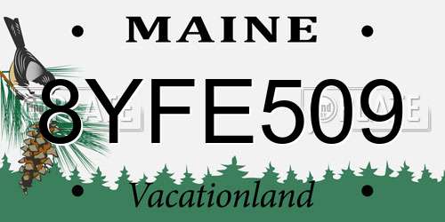 8YFE509 Maine License Plate