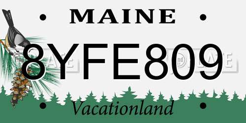 8YFE809 Maine License Plate