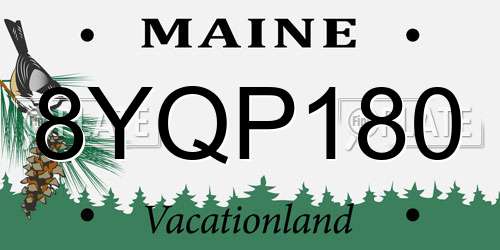 8YQP180 Maine License Plate