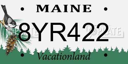 8YR422 Maine License Plate
