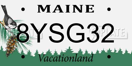 8YSG32 Maine License Plate
