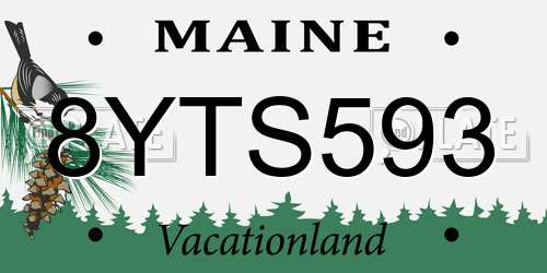 8YTS593 Maine License Plate