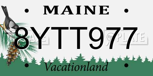 8YTT977 Maine License Plate
