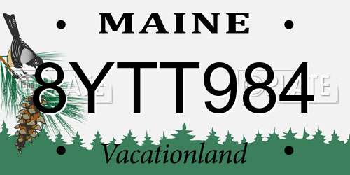8YTT984 Maine License Plate