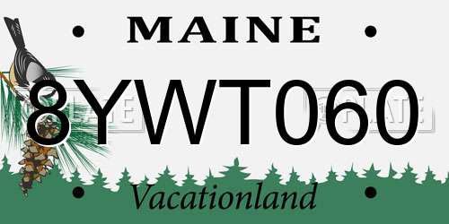 8YWT060 Maine License Plate