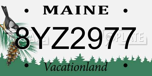 8YZ2977 Maine License Plate
