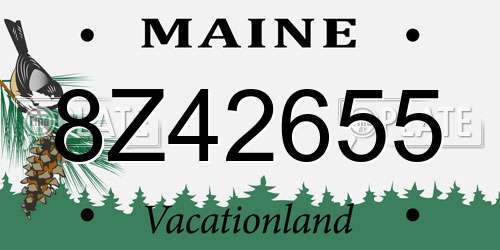 8Z42655 Maine License Plate