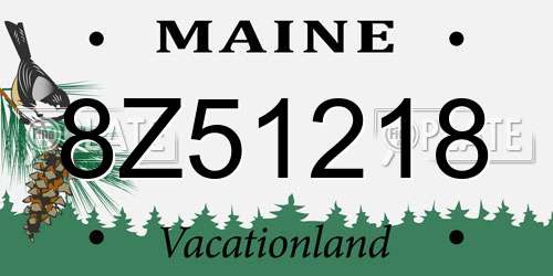 8Z51218 Maine License Plate