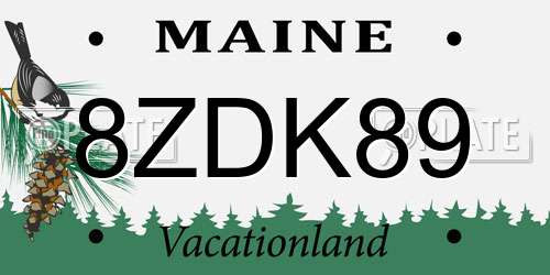 8ZDK89 Maine License Plate