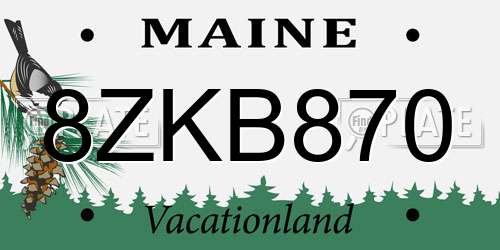 8ZKB870 Maine License Plate