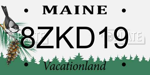 8ZKD19 Maine License Plate