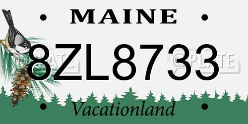 8ZL8733 Maine License Plate