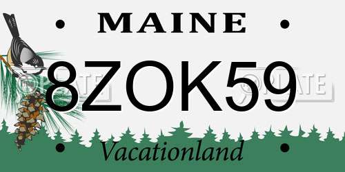 8ZOK59 Maine License Plate