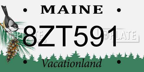 8ZT591 Maine License Plate