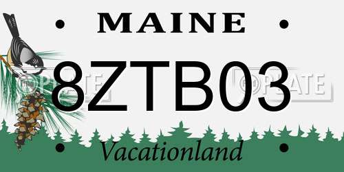8ZTB03 Maine License Plate