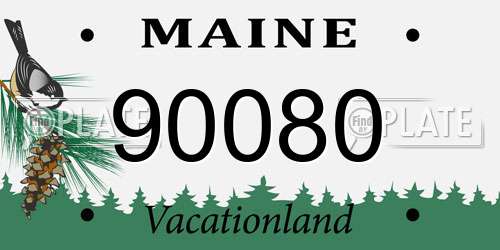 90080 Maine License Plate