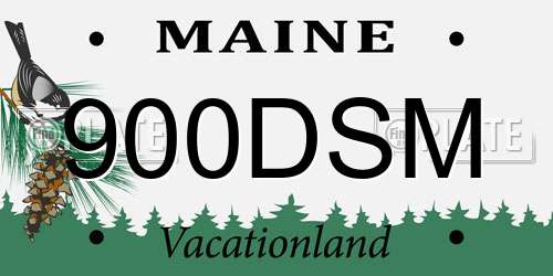 900DSM Maine License Plate