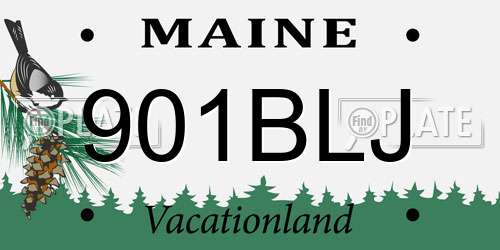 901BLJ Maine License Plate