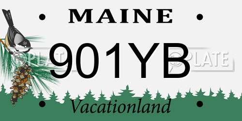 901YB Maine License Plate