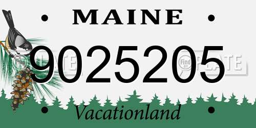 9025205 Maine License Plate